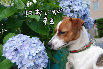 050.jpg