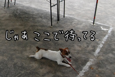 185.jpg