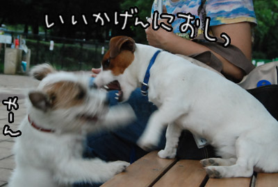 321.jpg