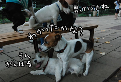 323.jpg