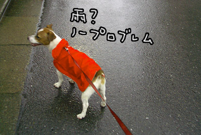 116.jpg