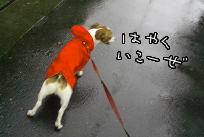117.jpg