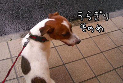 119.jpg