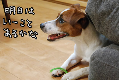 122.jpg