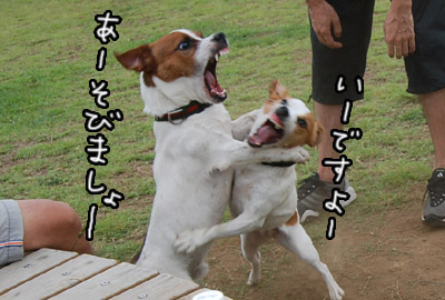 330.jpg