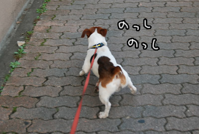 009.jpg