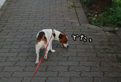 010.jpg