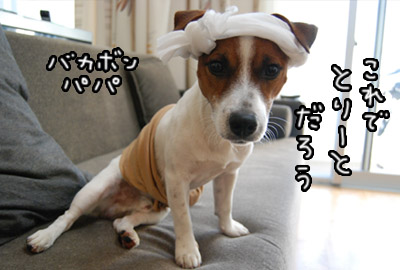 192.jpg