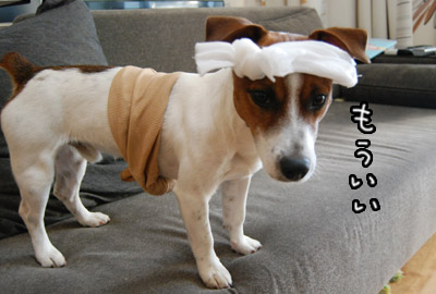 194.jpg