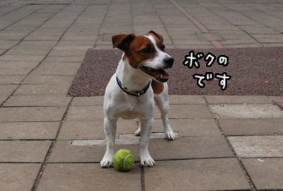 197.jpg