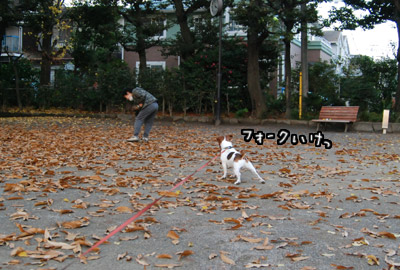 125.jpg