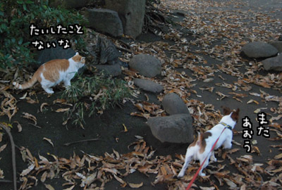 128.jpg
