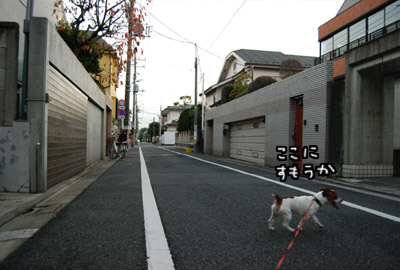 131.jpg