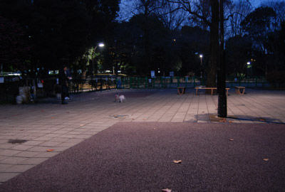 134.jpg