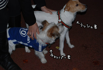 135.jpg