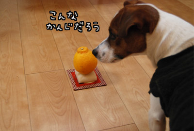 001.jpg
