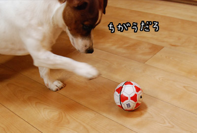 119.jpg