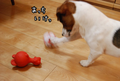122.jpg
