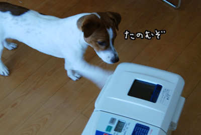 126.jpg