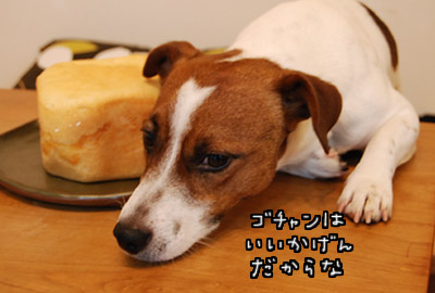 130.jpg