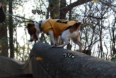 134.jpg