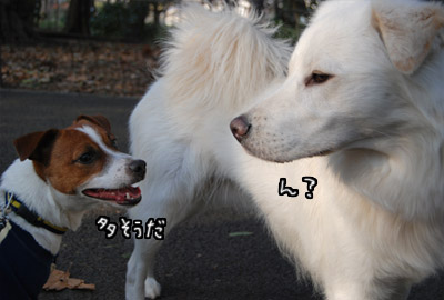 113.jpg