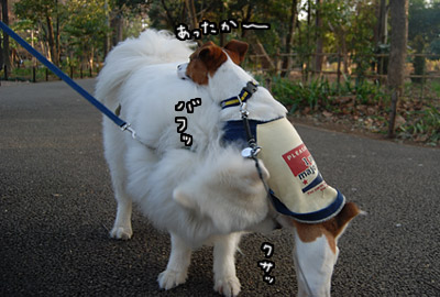 186.jpg