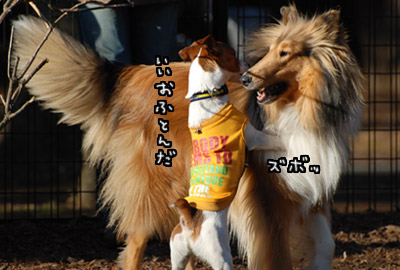 188.jpg