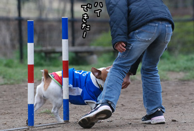 104.jpg