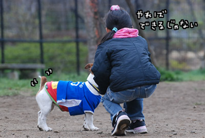 105.jpg