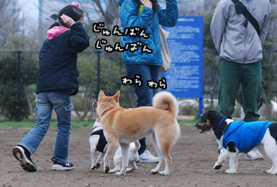 106.jpg