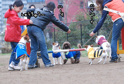 107.jpg