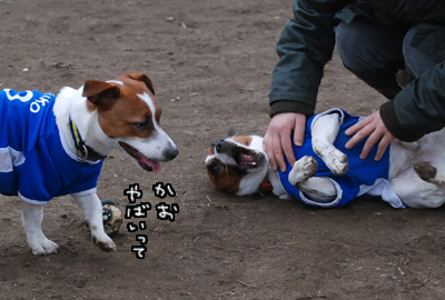 111.jpg
