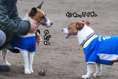 112.jpg
