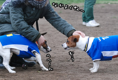 114.jpg