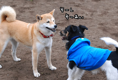 116.jpg