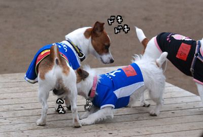126.jpg