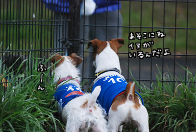 128.jpg