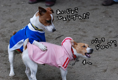 135.jpg