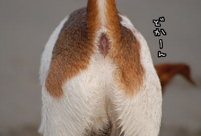 153.jpg