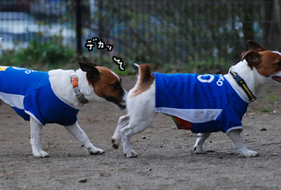 156.jpg