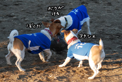 107.jpg