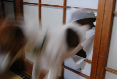 126.jpg