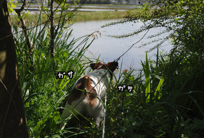 129.jpg