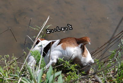 132.jpg