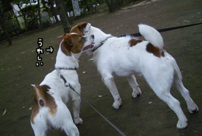 144.jpg
