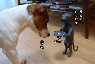 152.jpg