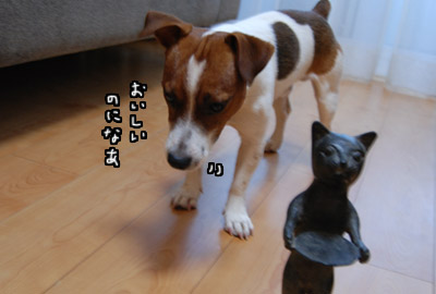 153.jpg