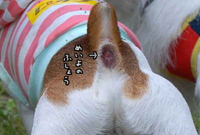 216.jpg