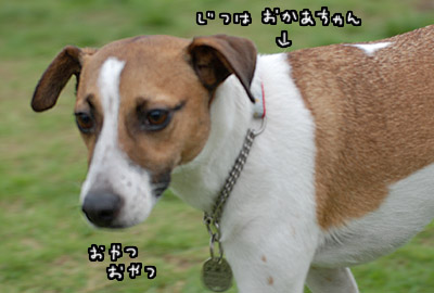 162.jpg